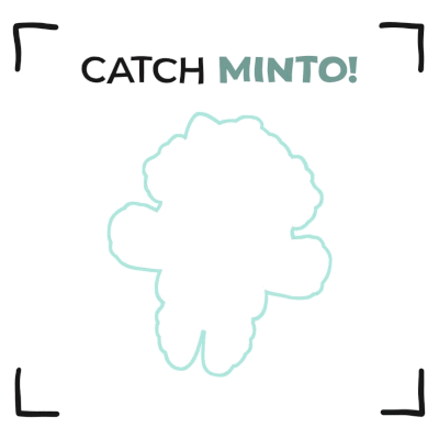 Minto Minto